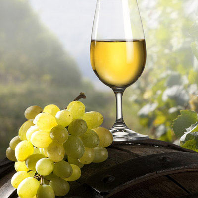 手机号炸弹防护业务